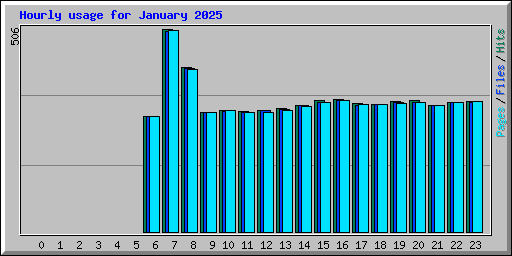 Hourly usage for January 2025