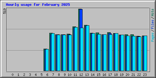 Hourly usage for February 2025