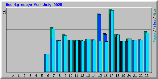 Hourly usage for July 2025