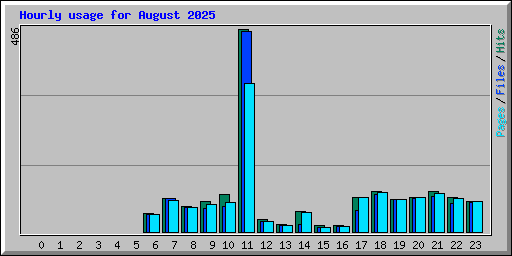 Hourly usage for August 2025