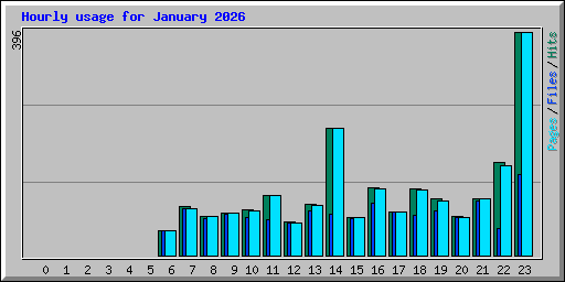 Hourly usage for January 2026